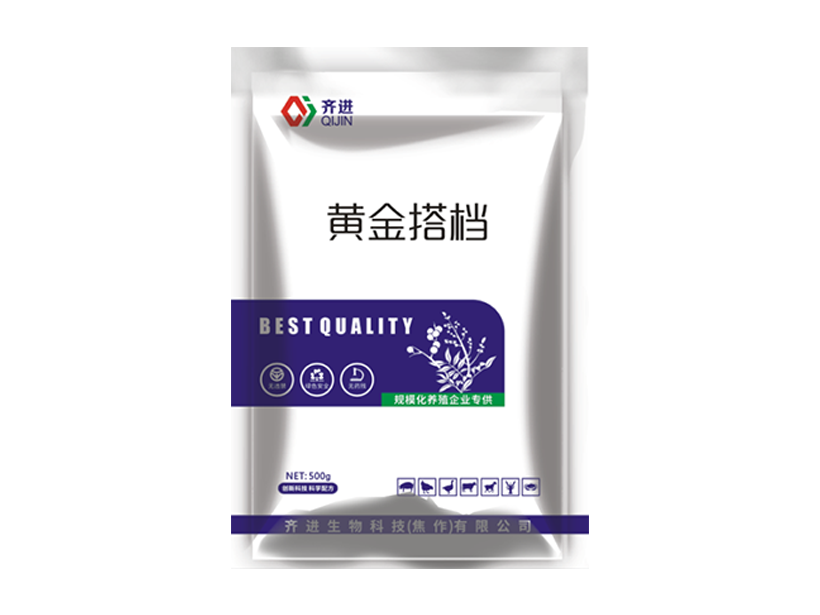 黄金搭档.png